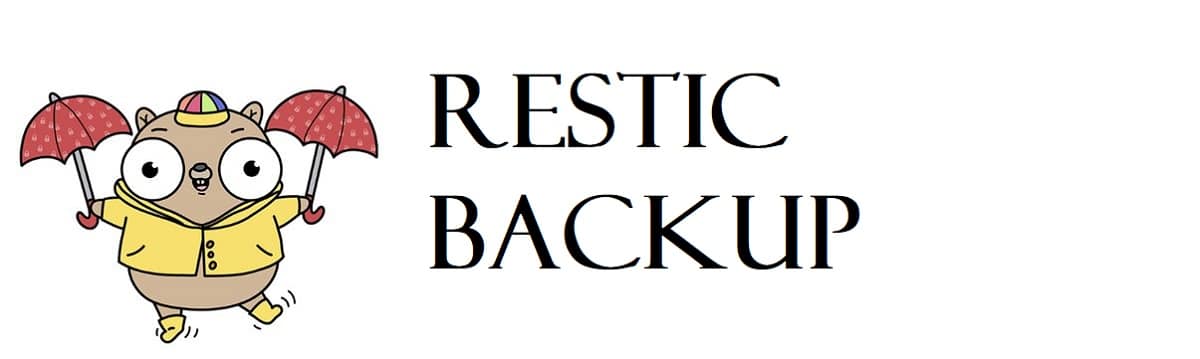 Backups con Restic en Ubuntu: guía para Cloud Server, Docker y PostgreSQL