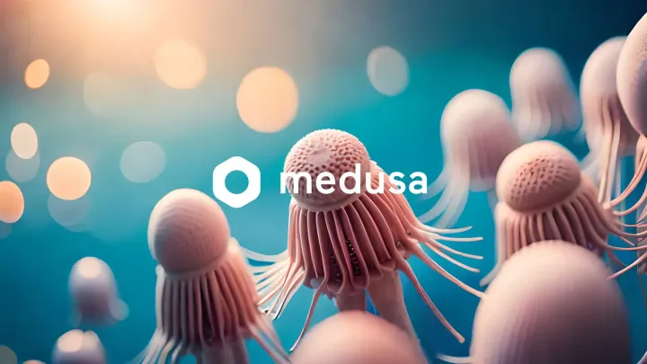 Instalar y configurar Medusa.JS en Ubuntu en 12 pasos
